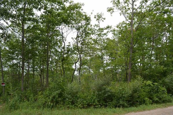 Fisher Road, Long Lake Twp, MI 49685