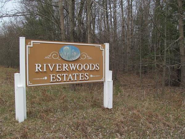 Lot 9 W Blue River Woods Estates #1 Lot: 9,  Lake Twp,  MI 49651