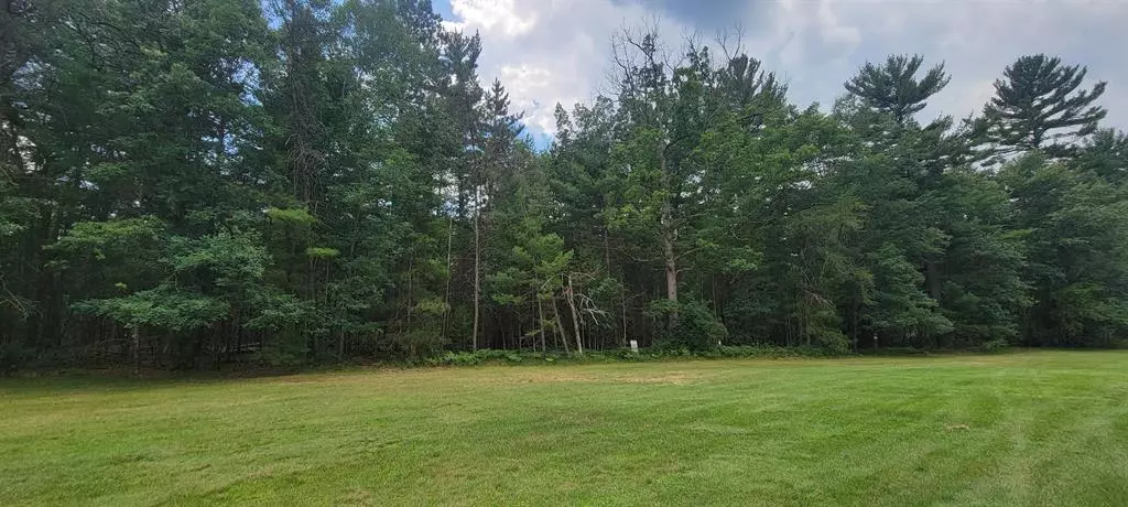 Denton Twp, MI 48651,XXX Nestel Road Lot 22