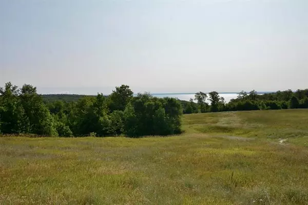 Lot 28 N Brencris Lot: 28, Suttons Bay Twp, MI 49682