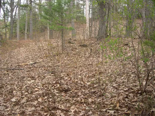 Traverse City, MI 49684,1613 Edgewater Ridge Lot: 10