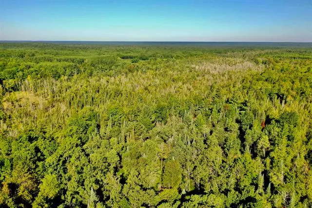 N 29, Greenwood Twp, MI 49663