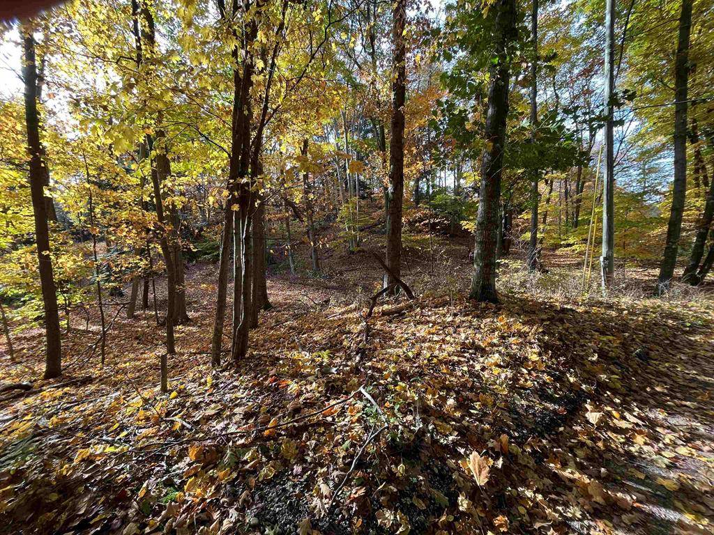 Lake Twp, MI 49635,7 Beach Road