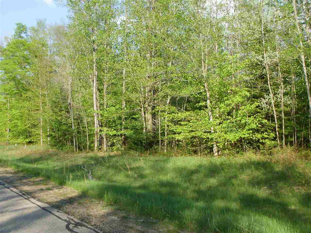 Selma Twp, MI 49601,Lot 4 Spring Valley Drive