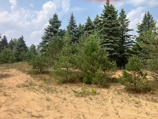 Hanover Twp, MI 49620,Parcel F-2 N 2 1/2 Road