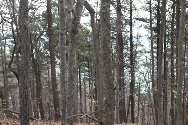 Lake Twp, MI 49617,lot 5 Crystal View