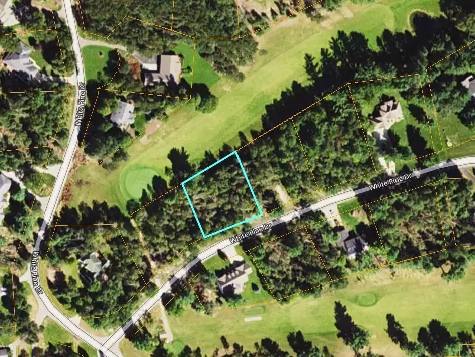 Cherry Grove Twp, MI 49601,Lot 29 White Pine