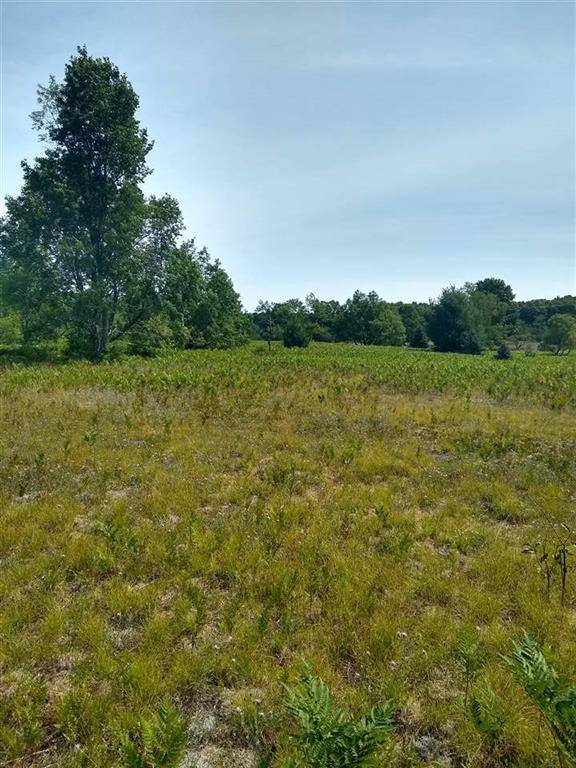 Springfield Twp, MI 49668,00 Vista Valley Trail