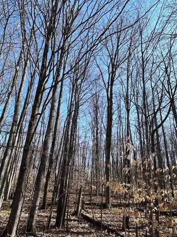 Custer Twp, MI 49615,Lot 14 Klein Strasse