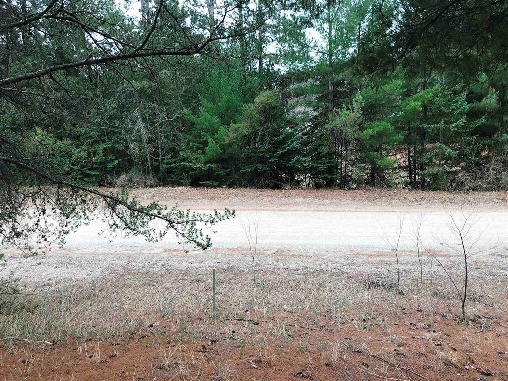 Springville Twp, MI 49668,00 Howard Street Lot: 10