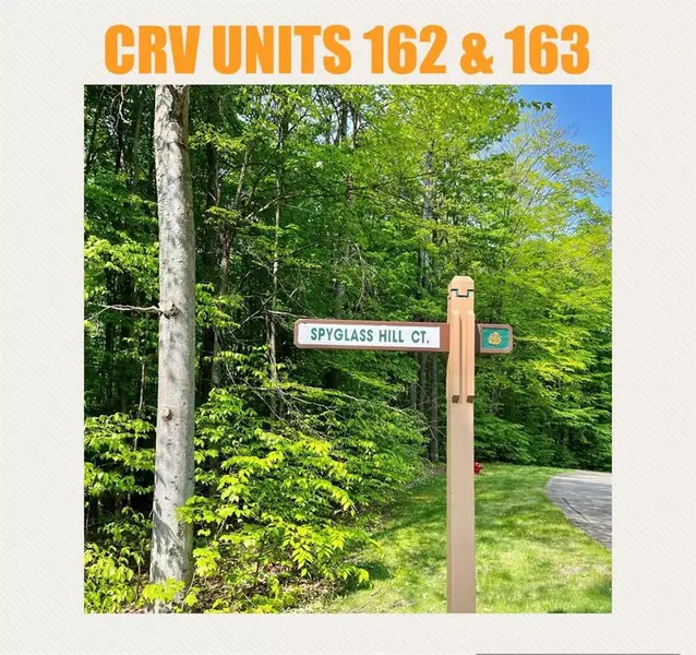 Units 162 & 163 Spyglass Hill Court, Custer Twp, MI 49615