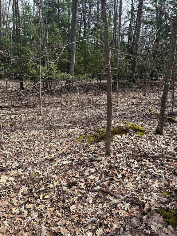 Elk Rapids Twp, MI 49629,8204 Partridge Woods