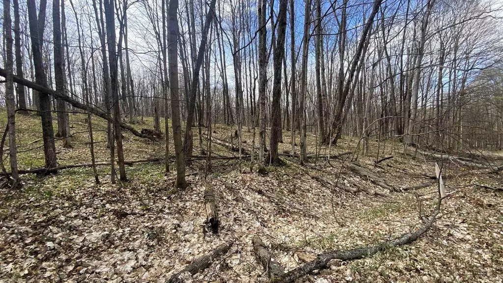 Kearney Twp, MI 49615,Lots 292-293 Jaeger Strasse Lot: 292/93