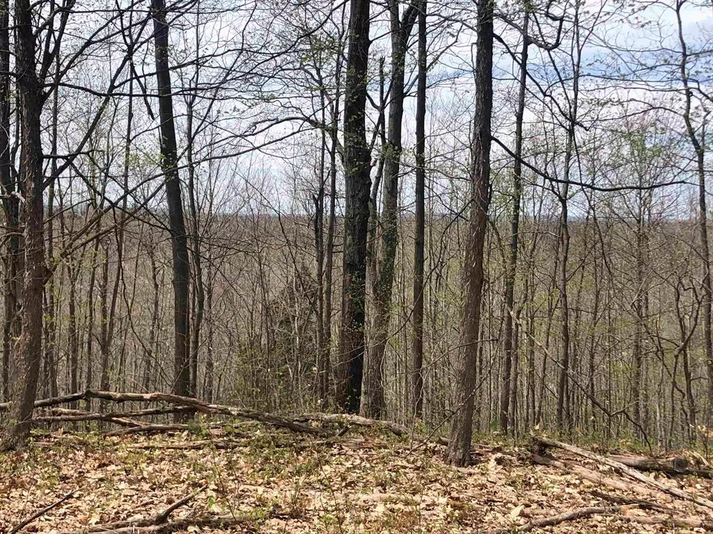 Marilla Twp, MI 49625,80 Acres Yates Road
