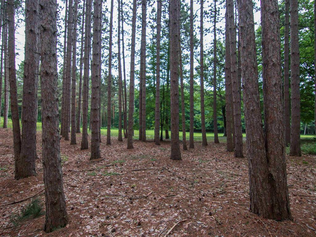 Weldon Twp, MI 49683,0000-Unit 42 Trailside Drive