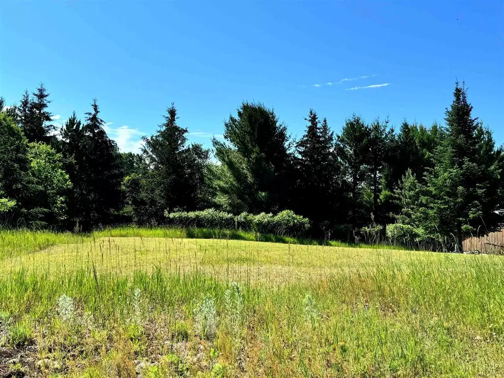 Clam Lake Twp, MI 49601,00 Arbutus Drive
