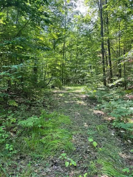 211 Logging Trail, Rose Lake Twp, MI 49655