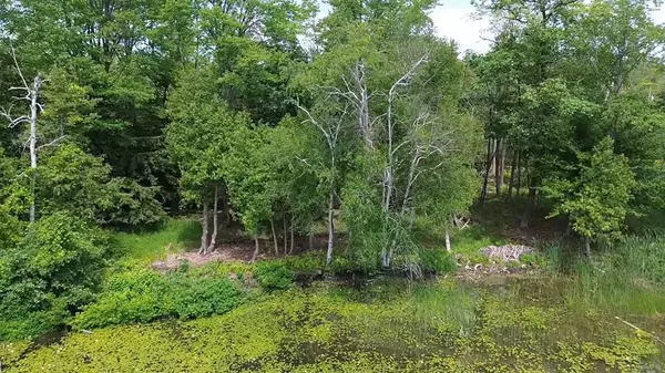 Elk Rapids Twp, MI 49629,00 Partridge Trail