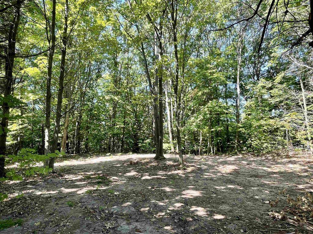 000 US-31 S, Elk Rapids Twp, MI 49690