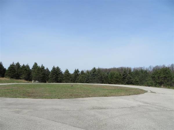 1 Spruce Hollow TerraceE, Fife Lake Twp, MI 49633