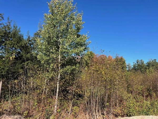 08 Hemlock Hill Drive Lot: 8, Long Lake Twp, MI 49685