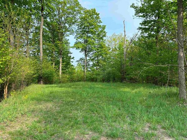 10-11 W Jefferson Avenue Lot: 10-11,  Suttons Bay Twp,  MI 49682