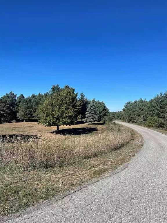 Central Lake Twp, MI 49622,000 Paradise Hills Drive Lot: 1