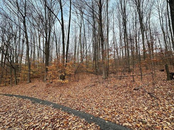 Lot 23 Schutzen Lane Lot: 23, Custer Twp, MI 49615