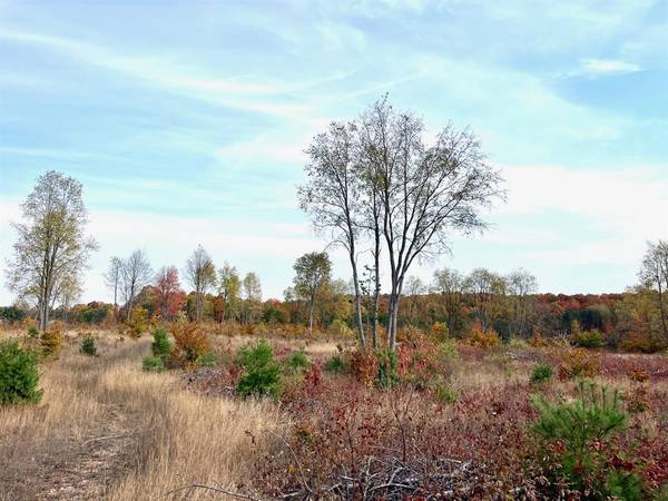 A3 E Kasson Road Lot: A3, Kasson Twp, MI 49664