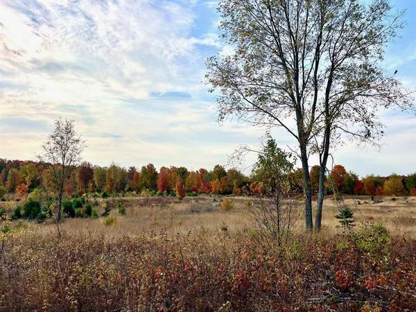 A7 S Bright Road Lot: A7, Kasson Twp, MI 49664