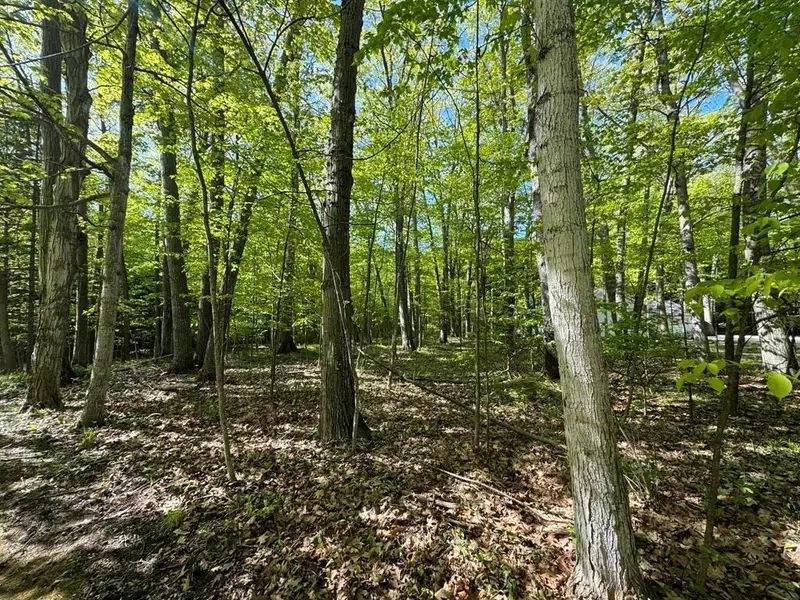 E Oxford Drive Lot: 27, Leland Twp, MI 49654