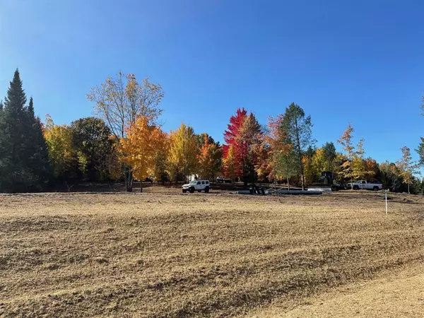 Springfield Twp, MI 49633,Lot 2 S Snyder Road, SW