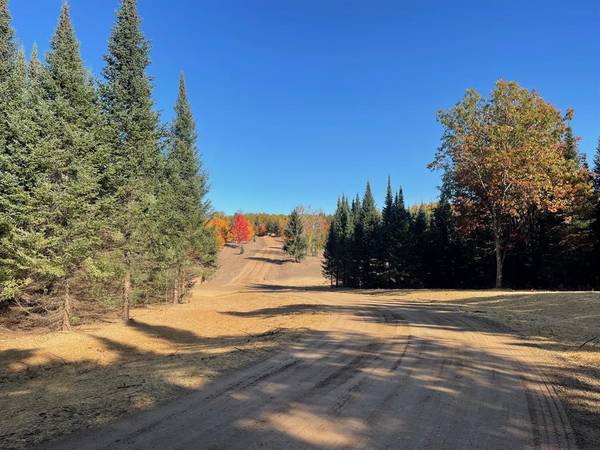 Lot 2 S Snyder Road, SW, Springfield Twp, MI 49633