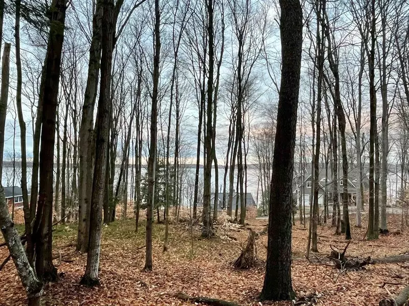 00 Treetops Lane (Private Road) Lot: 5, Crystal Lake Twp, MI 49635