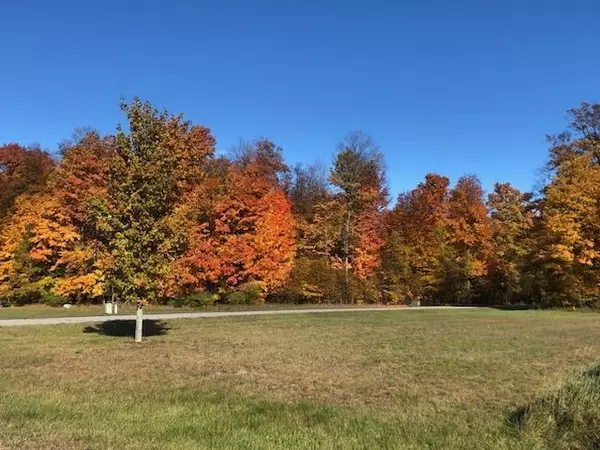 Cherry Grove Twp, MI 49601,Lot 17 Powell Drive