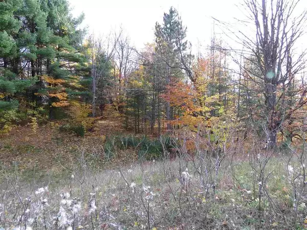 Paradise Twp, MI 49649,Lot 63 Eden Street Lot: 63