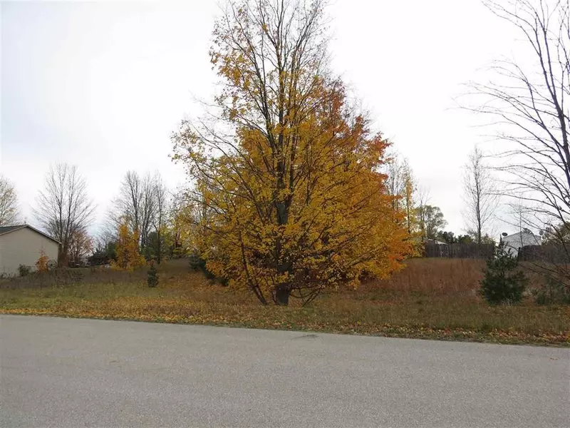 Lot 66 Eden Street Lot: 66, Paradise Twp, MI 49649