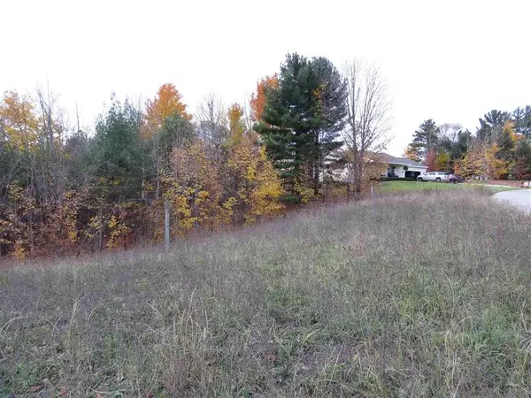 Paradise Twp, MI 49649,Lot 72 Eden Street Lot: 72