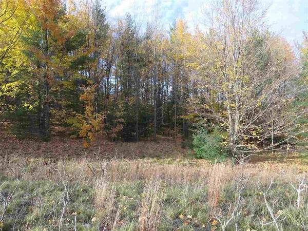 Lot 98 Eden Street Lot: 98, Paradise Twp, MI 49649