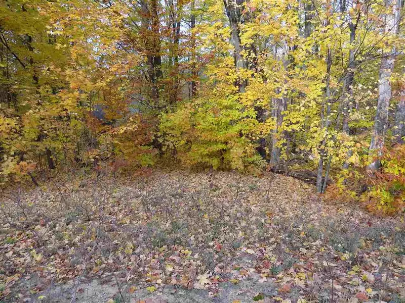 Lot 79 Eden Street Lot: 79, Paradise Twp, MI 49649