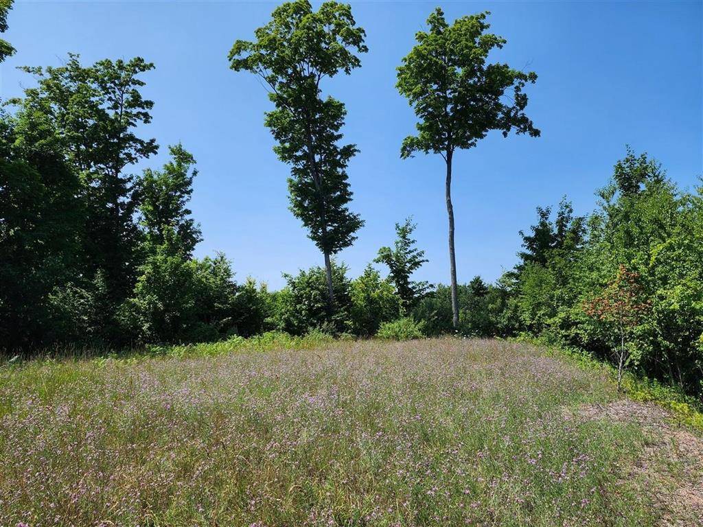 Suttons Bay Twp, MI 49682,00 N Blue Water Court Lot: 24