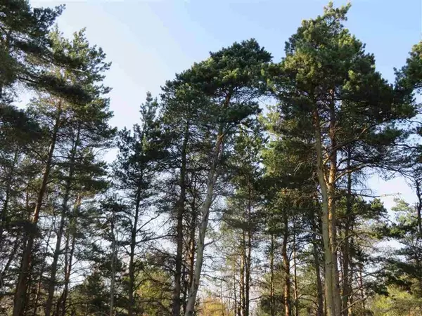 Fife Lake Twp, MI 49633,A Spruce Hollow TerraceE