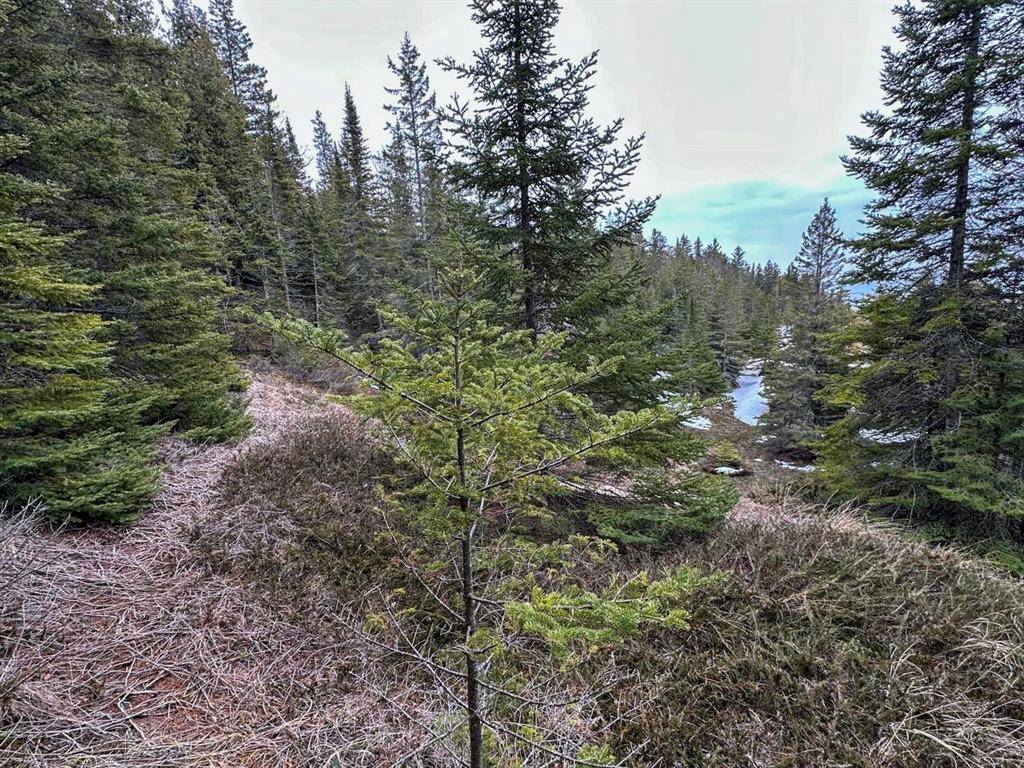 Peaine Twp, MI 49782,TBD Mrs Reddings Trail Parcel #5