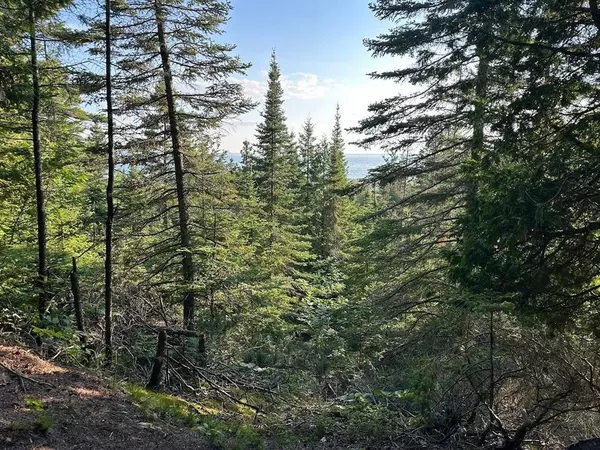 TBD Mrs Reddings Trail Parcel #5, Peaine Twp, MI 49782