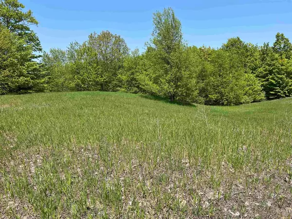 Grant Twp, MI 49637,Lot 15 Horton Creek Drive