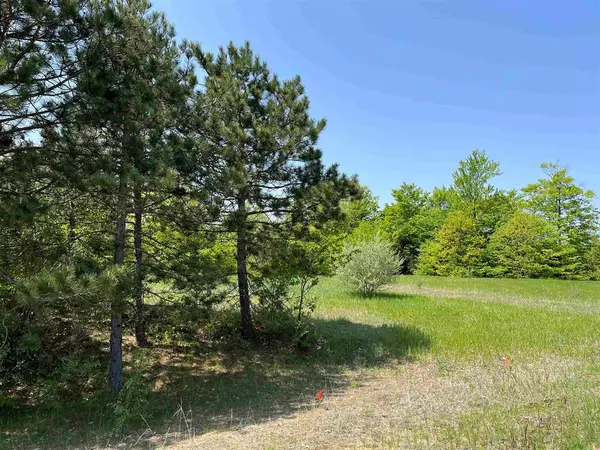 Grant Twp, MI 49637,Lot 15 Horton Creek Drive