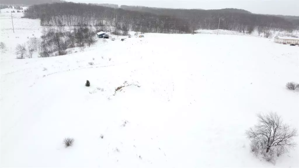 Parcel D Floreys Ranch Road, Grant Twp, MI 49620