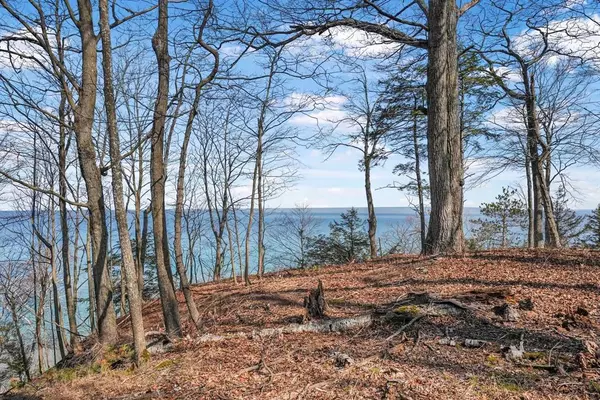 Lot 91 Ridge Drive, Lake Twp, MI 49635