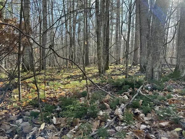 Parcel 4 Hideaway Trail,  Peaine Twp,  MI 49782