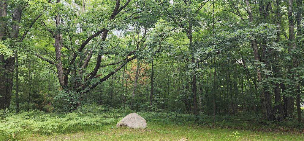 2525 Seeley Road, Lake Twp, MI 49601